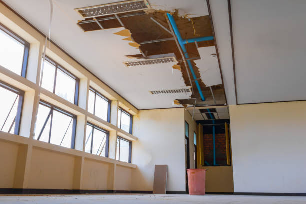 Best Mold removal after water damage  in Cudjoe Key, FL