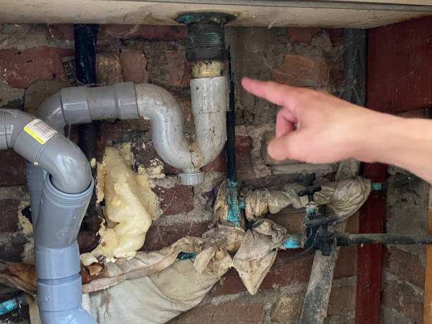 Best Water damage restoration near me  in Cudjoe Key, FL